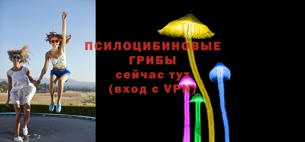 ECSTASY Балахна